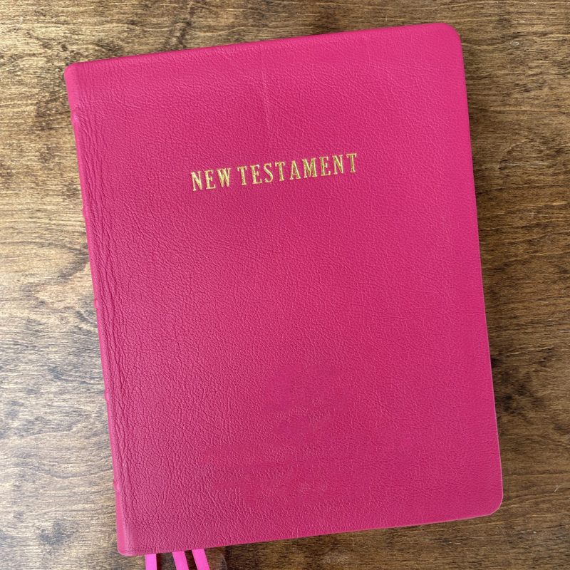 Journal Edition New Testament