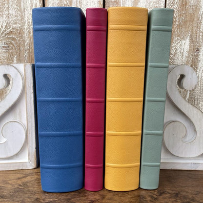 Journal Edition Scripture Set (All 4 Books)
