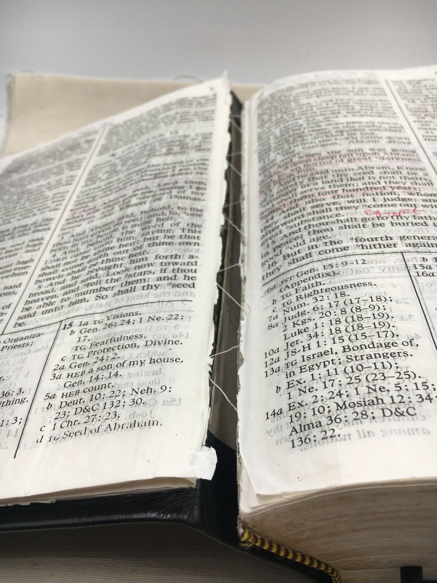 Scripture Binding Repair — Simple Restoration