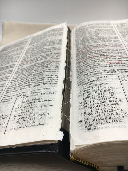 Scripture Binding Repair — Simple Restoration