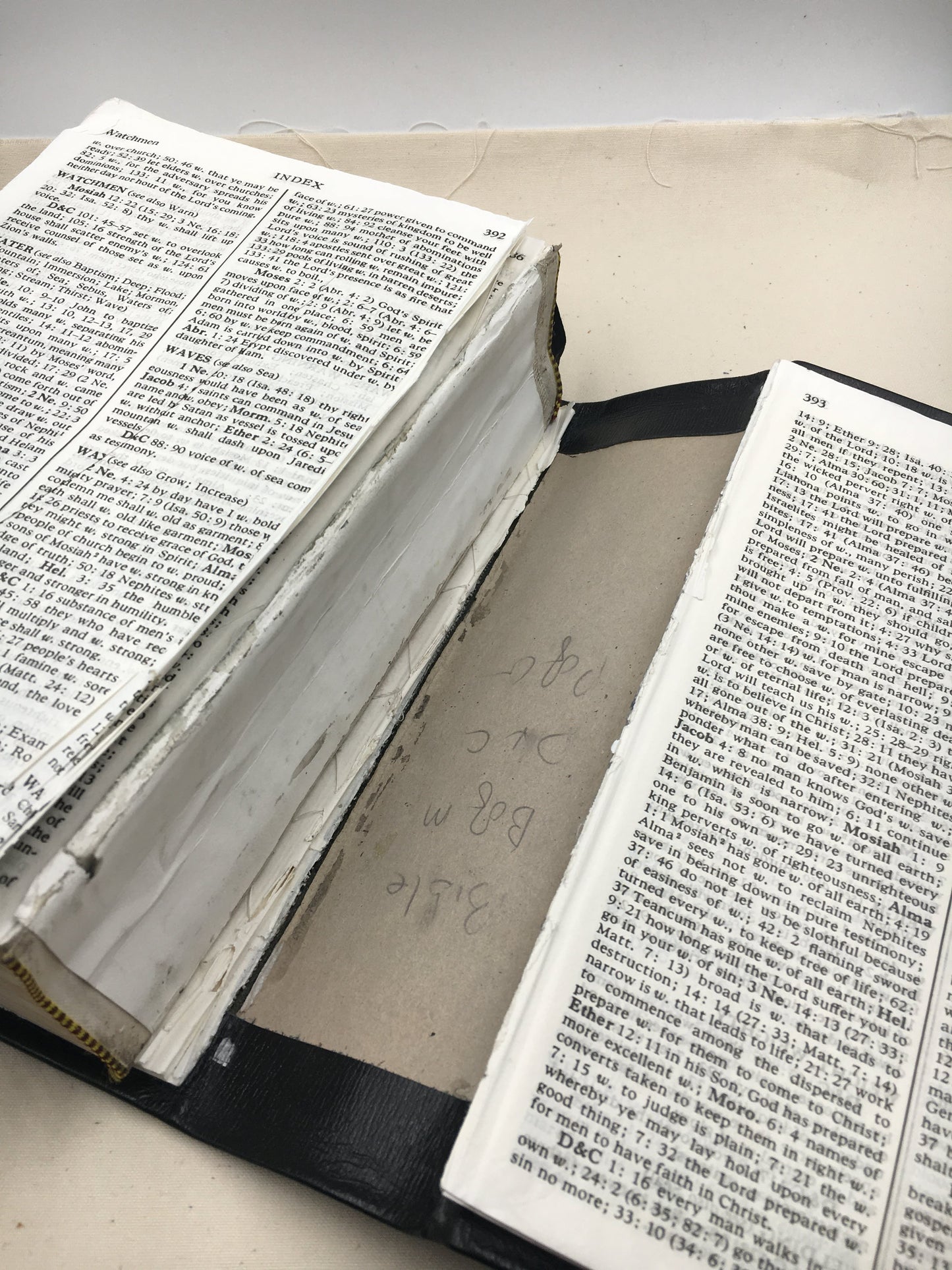 Scripture Binding Repair — Simple Restoration